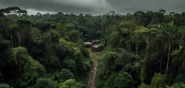 Mudança climática ameaça 2,6% da receita da Natura